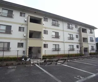 林マンション【301号室】の外観