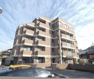 マシモマナーの画像