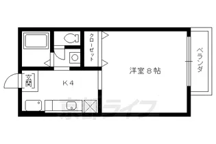 ドミール丸屋町【203号室】の間取り