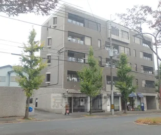 ノースコートの画像