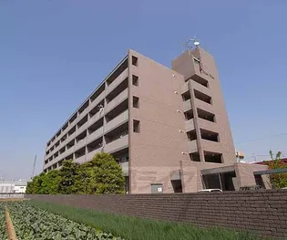 エイテルフラッツの画像