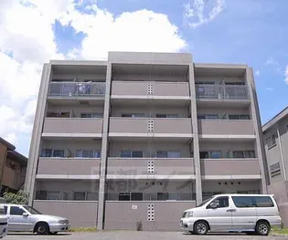 ピュア24の画像