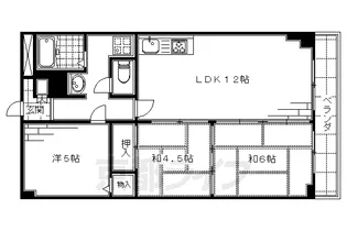 コンフォート清水【3階】の間取り