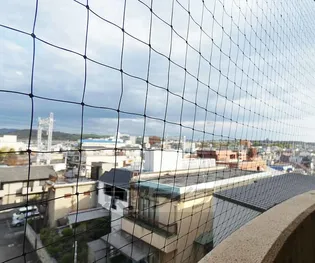 朝日プラザ深草【514号室】のその他画像