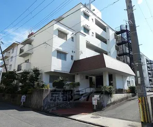 モラーダ墨染の画像