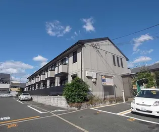 パステルコートの画像