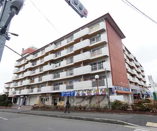 パールハイツイナリ【3031号室】の外観