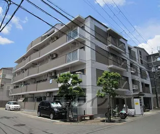 アリーバの画像