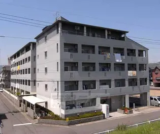 カストルム滝川【1階】の外観