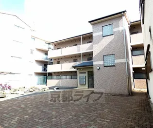 プリーマトマーテの画像