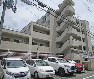 エクセレンスⅡの画像