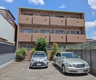 リーベン桂の画像