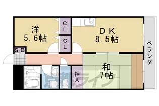 京都府京都市西京区桂上野南町【マンション】の間取り