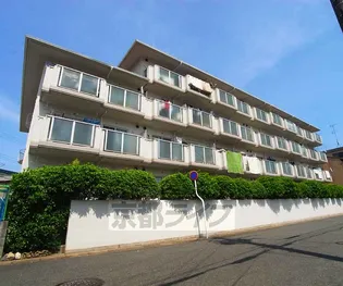 マッシュハイムⅠの画像