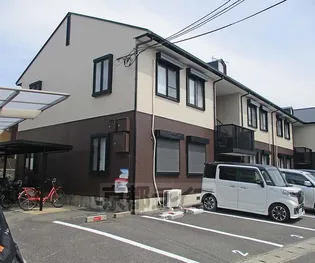 マレ オットの画像