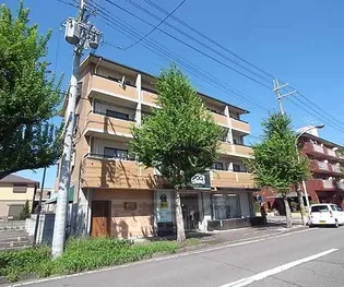 コンドミニオの画像