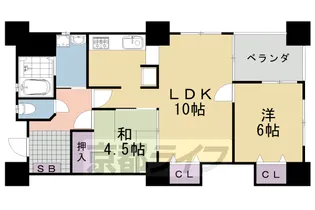 ツインクルコート桂EAST【501号室】の間取り