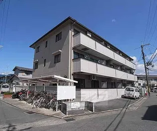 桂フォーラムの画像