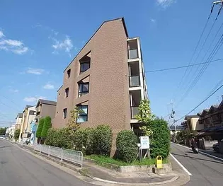 サンパープルたけじの画像