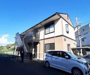 プラセオの画像