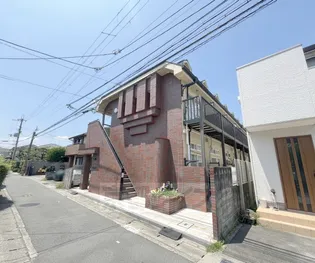 ドムール桂の画像