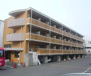 パレやましな佐わらびの画像