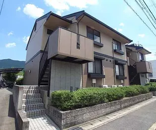 ヴァンベールヤマダの画像