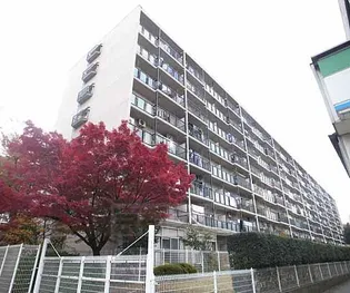 山科南団地E棟の画像
