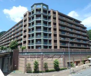 京都府京都市山科区上花山桜谷【マンション】の外観