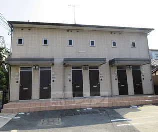 プランドールの画像