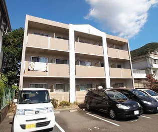 ルミナスヨシの画像