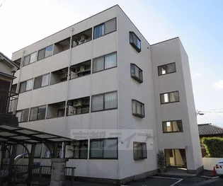 コートバレー1の画像