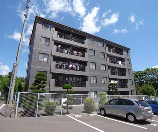 ベルエトワール【403号室】の外観