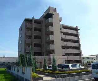 スリーメープルの画像