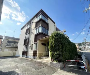 キャッスルササイの画像