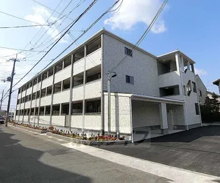 セ ラヴィの画像