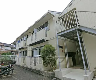 CAMELLIA 1STの画像