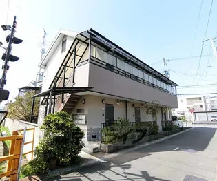 スプラウトの画像