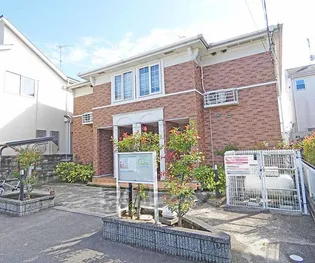 コスモスの画像