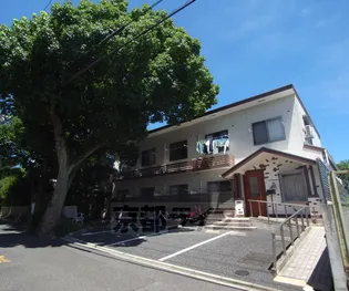 ティンカーベルの画像