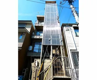 サングリーンの画像