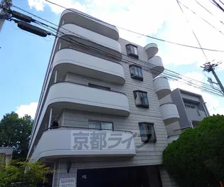 ヴィヴァーチェ千本【307号室】の外観