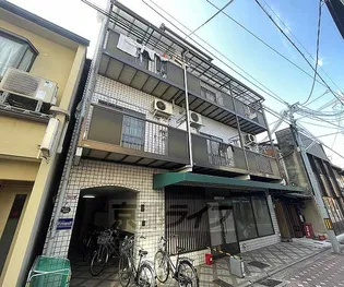 プログレスタマヤの画像