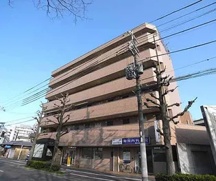 COTOGLANCE紫明通の画像