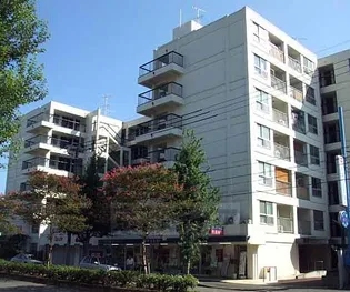 京都一乗寺コーポラス【404号室】の外観