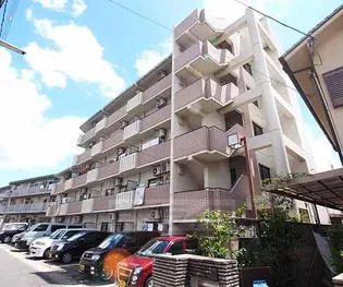 ハイネス幸B棟【502号室】の外観