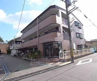 マーベラスの画像