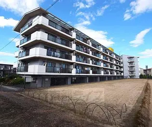 アーチスト島田の画像