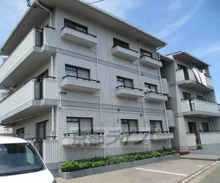 ウアクエレの画像