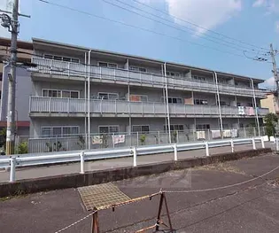 プルネードマキシマの画像